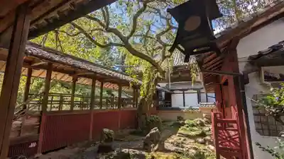 十輪寺(京都府)