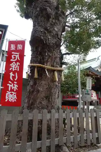 阿倍王子神社の自然