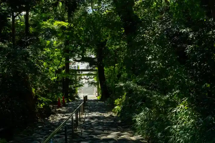 龍尾神社(静岡県)