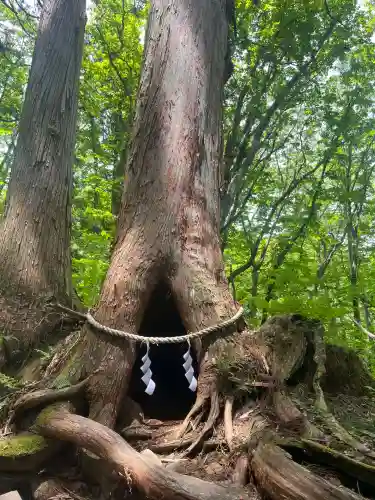 戸隠神社奥社(長野県)