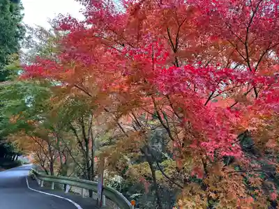 須山浅間神社(静岡県)