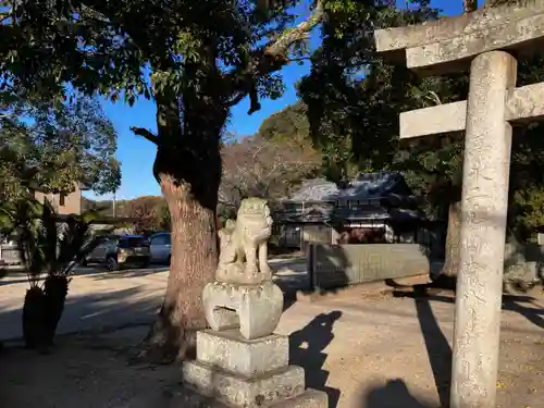 葛城神社の狛犬