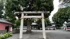 日吉浅間神社の鳥居