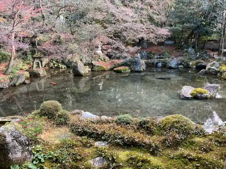 蓮華寺(洛北蓮華寺)(京都府)