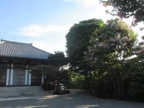 長谷寺(神奈川県)