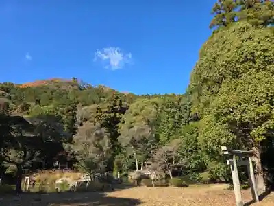 龍泉寺(大阪府)