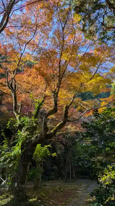 吟松寺(京都府)