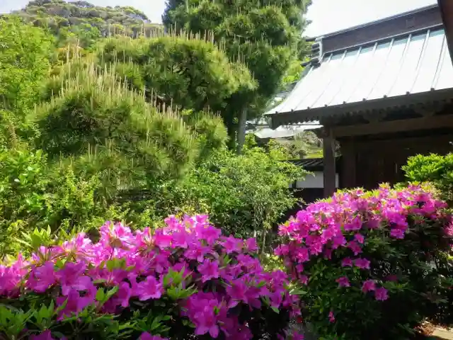 妙法寺のその他建物