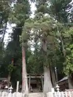 室生龍穴神社の自然