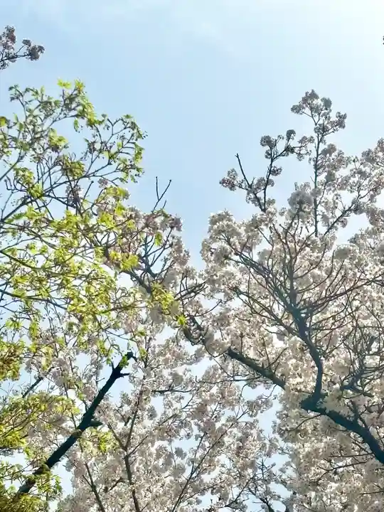 蚊里田八幡宮(長野県)