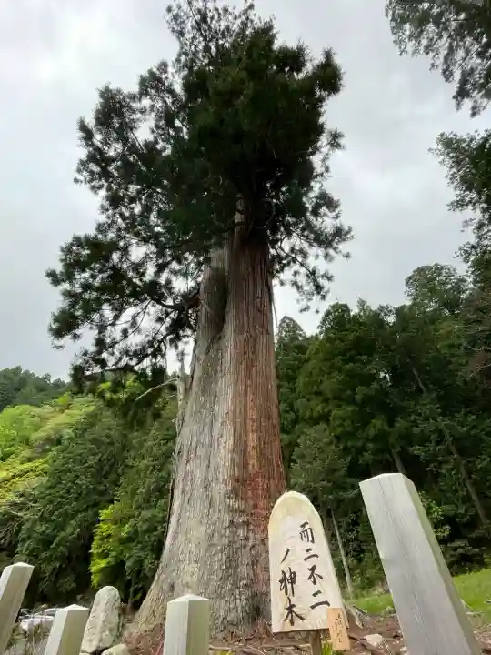 室生龍穴神社の{uncategorized: "未分類", other: "その他", undefined: "問題あり", building: "その他建物", grave: "お墓", sacred_gate: "鳥居", guardian: "狛犬", statue: "像", buddha: "仏像", history: "歴史", nature: "自然", garden: "庭園", animal: "動物", pagoda: "塔", temizu: "手水舎", mountain_gate: "山門・神門", sanctuary: "本殿・本堂", subordinate: "末社・摂社", art: "芸術", scenery: "景色", jizo: "地蔵", ema: "絵馬", goshuin: "御朱印", omikuji: "おみくじ", items: "授与品その他", amulet: "お守り", goshuincho: "御朱印帳", eats: "食事", festival: "お祭り", votive_dance: "神楽", shichigosan: "七五三参", wedding: "結婚式", experience: "体験その他", initially: "初詣", around: "周辺", anti_infection: "感染症対策"}