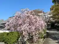 真正極楽寺(真如堂)(京都府)