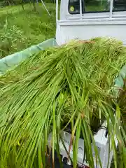 鏑八幡神社(岩手県)