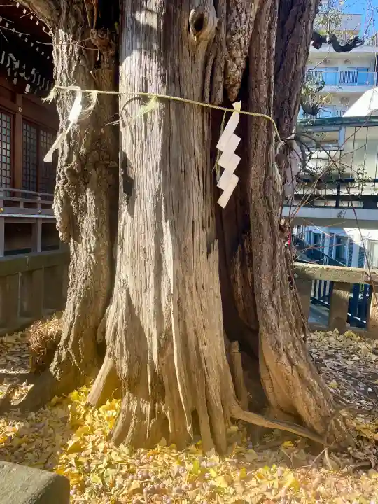 大鳥神社の{uncategorized: "未分類", other: "その他", undefined: "問題あり", building: "その他建物", grave: "お墓", sacred_gate: "鳥居", guardian: "狛犬", statue: "像", buddha: "仏像", history: "歴史", nature: "自然", garden: "庭園", animal: "動物", pagoda: "塔", temizu: "手水舎", mountain_gate: "山門・神門", sanctuary: "本殿・本堂", subordinate: "末社・摂社", art: "芸術", scenery: "景色", jizo: "地蔵", ema: "絵馬", goshuin: "御朱印", omikuji: "おみくじ", items: "授与品その他", amulet: "お守り", goshuincho: "御朱印帳", eats: "食事", festival: "お祭り", votive_dance: "神楽", shichigosan: "七五三参", wedding: "結婚式", experience: "体験その他", initially: "初詣", around: "周辺", anti_infection: "感染症対策"}