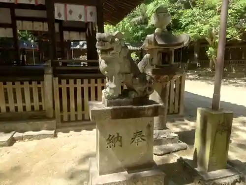 伊居太神社の狛犬