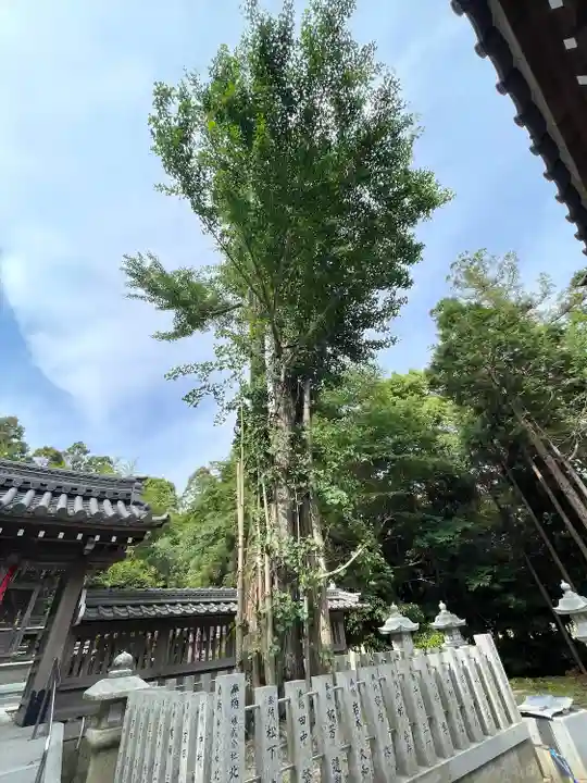 屯倉神社(滋賀県)