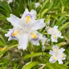 豊景神社の自然