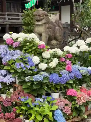 白山神社(東京都)