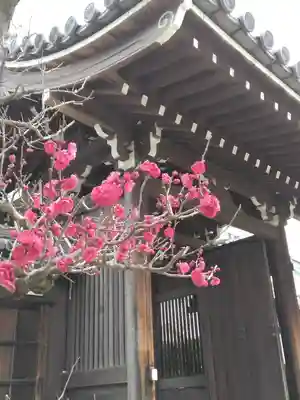 戒光院の山門・神門