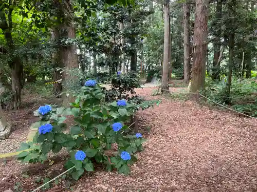 下野 星宮神社の自然