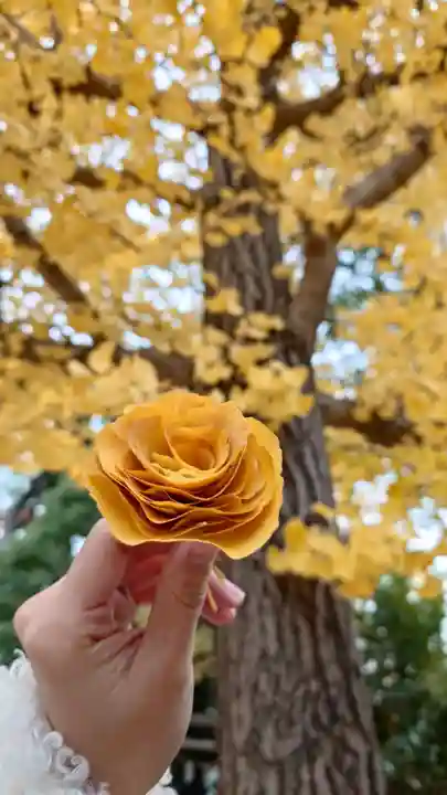 夜疑神社(大阪府)