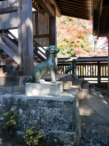 武蔵御嶽神社の狛犬