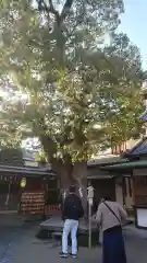 晴明神社の自然