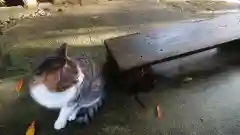 玉野御嶽神社の動物