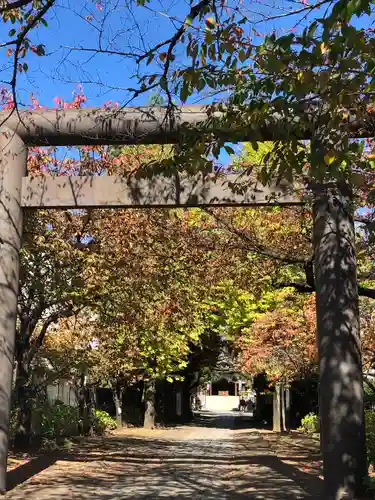 亀戸 香取神社の鳥居