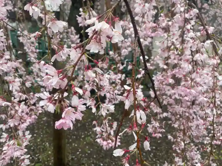 大國魂神社の{uncategorized: "未分類", other: "その他", undefined: "問題あり", building: "その他建物", grave: "お墓", sacred_gate: "鳥居", guardian: "狛犬", statue: "像", buddha: "仏像", history: "歴史", nature: "自然", garden: "庭園", animal: "動物", pagoda: "塔", temizu: "手水舎", mountain_gate: "山門・神門", sanctuary: "本殿・本堂", subordinate: "末社・摂社", art: "芸術", scenery: "景色", jizo: "地蔵", ema: "絵馬", goshuin: "御朱印", omikuji: "おみくじ", items: "授与品その他", amulet: "お守り", goshuincho: "御朱印帳", eats: "食事", festival: "お祭り", votive_dance: "神楽", shichigosan: "七五三参", wedding: "結婚式", experience: "体験その他", initially: "初詣", around: "周辺", anti_infection: "感染症対策"}