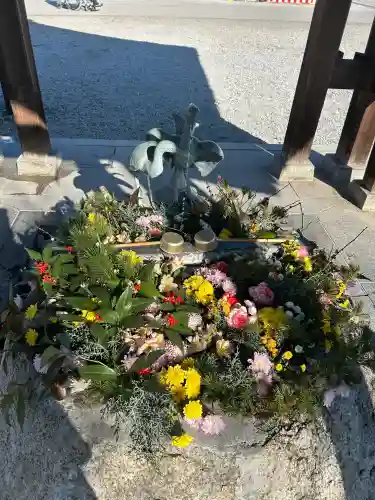 白鷺神社の{uncategorized: "未分類", other: "その他", undefined: "問題あり", building: "その他建物", grave: "お墓", sacred_gate: "鳥居", guardian: "狛犬", statue: "像", buddha: "仏像", history: "歴史", nature: "自然", garden: "庭園", animal: "動物", pagoda: "塔", temizu: "手水舎", mountain_gate: "山門・神門", sanctuary: "本殿・本堂", subordinate: "末社・摂社", art: "芸術", scenery: "景色", jizo: "地蔵", ema: "絵馬", goshuin: "御朱印", omikuji: "おみくじ", items: "授与品その他", amulet: "お守り", goshuincho: "御朱印帳", eats: "食事", festival: "お祭り", votive_dance: "神楽", shichigosan: "七五三参", wedding: "結婚式", experience: "体験その他", initially: "初詣", around: "周辺", anti_infection: "感染症対策"}