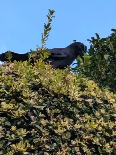 寳蓮寺(東京都)