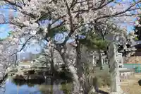 大山祇神社の景色