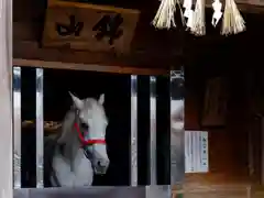 多度大社の動物