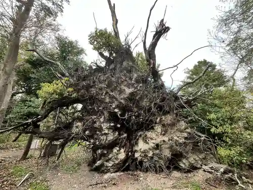 泉穴師神社(大阪府)