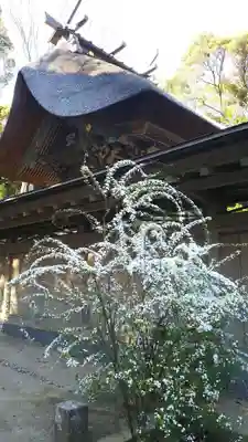 大洗磯前神社の本殿・本堂