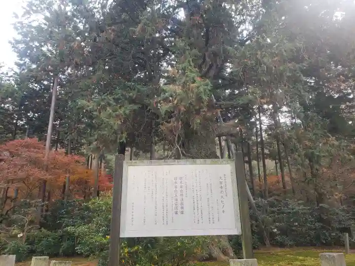 大智寺(岐阜県)