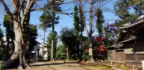 国府台天満宮(千葉県)