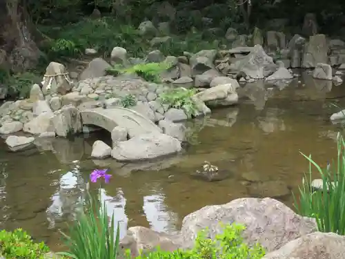 諫早神社（九州総守護  四面宮）(長崎県)