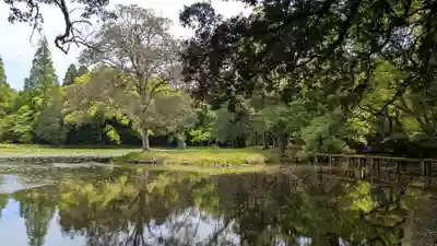 大神比義命の祠の周辺