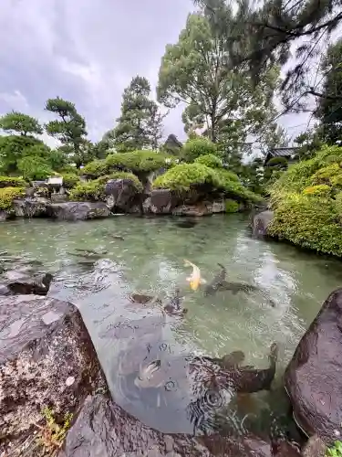 甲斐善光寺(山梨県)