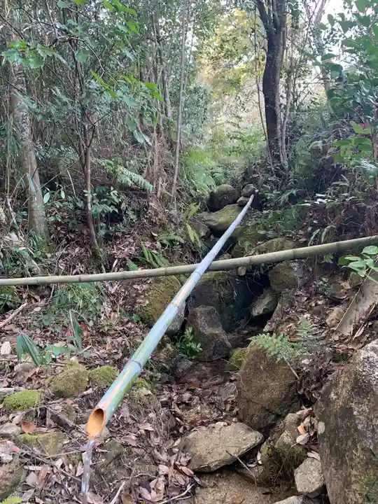 宇佐八幡宮の手水舎