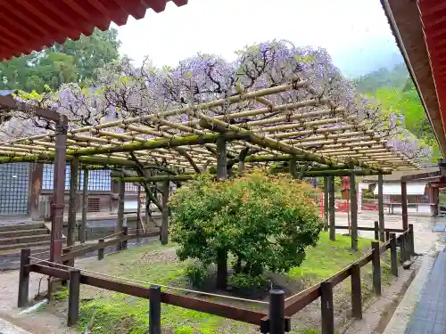 春日大社の庭園
