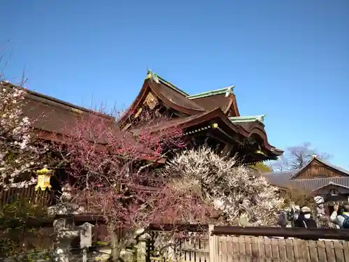 北野天満宮(京都府)