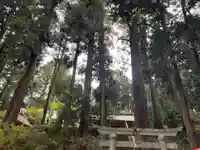大宮温泉神社(栃木県)