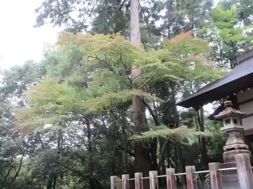 秩父御嶽神社(埼玉県)