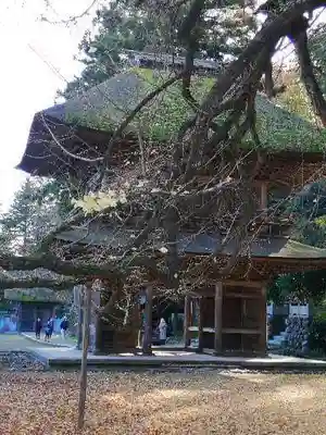 廣徳寺の山門・神門