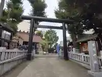 高円寺氷川神社の鳥居
