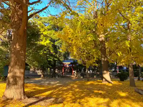 今城青坂稲実池上神社(埼玉県)