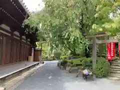 総持寺(大阪府)